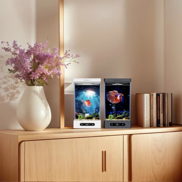 Betta tank-4 Betta tank